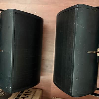 Definitive Technology AW 6500 Outdoor Speakers Pair image 4
