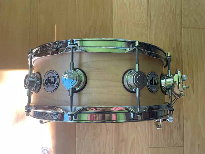 DW Collector's Series True Sonic Maple Snare 14 x 5 image 1