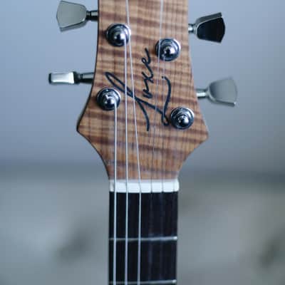 Luxe Procella - Tobacco Burst - Premium Handcrafted Semi-hollow Offset Guitar w/ Lambertones Pickups image 15
