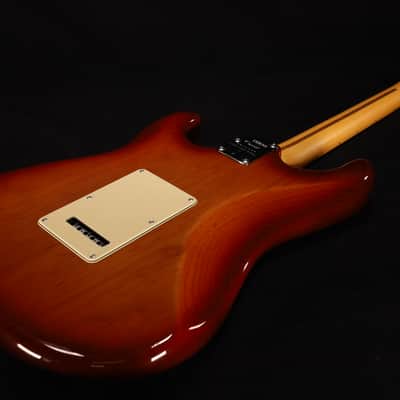 Fender American Professional II Stratocaster Maple Fingerboard Sienna Sunburst 203 image 8