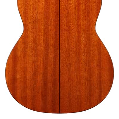 Cordoba C5 Spruce Top Acoustic Nylon String Guitar image 6