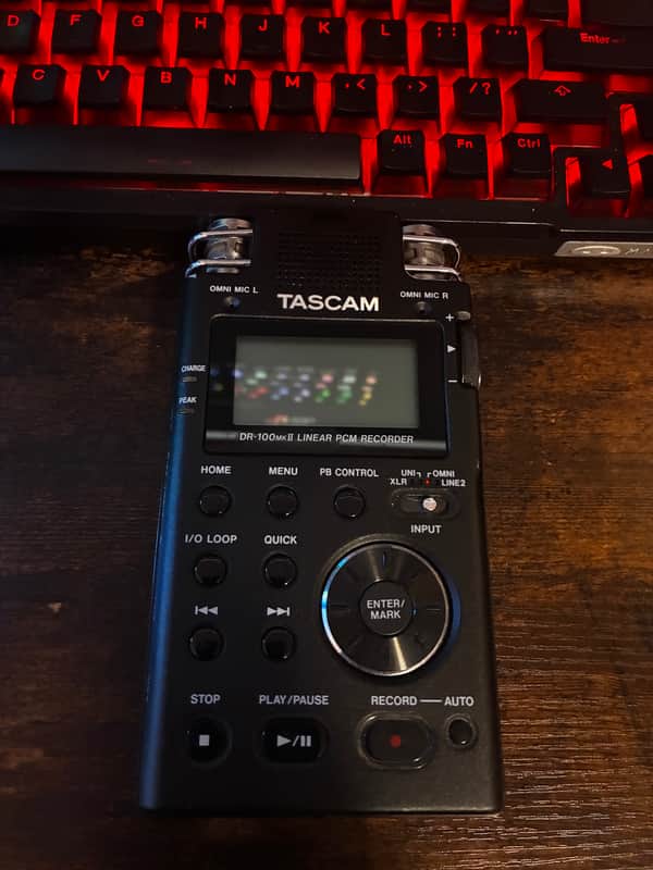 TASCAM DR-100MKII 2-Channel Portable Digital Recorder 2010s - Black