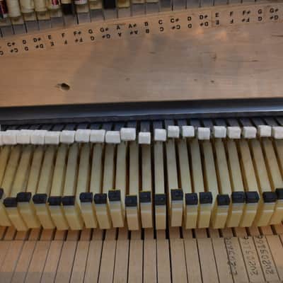 Rhodes Mark II Stage 54-Key Electric Piano 1980 - 1983 - Black Flat Top Bild 17