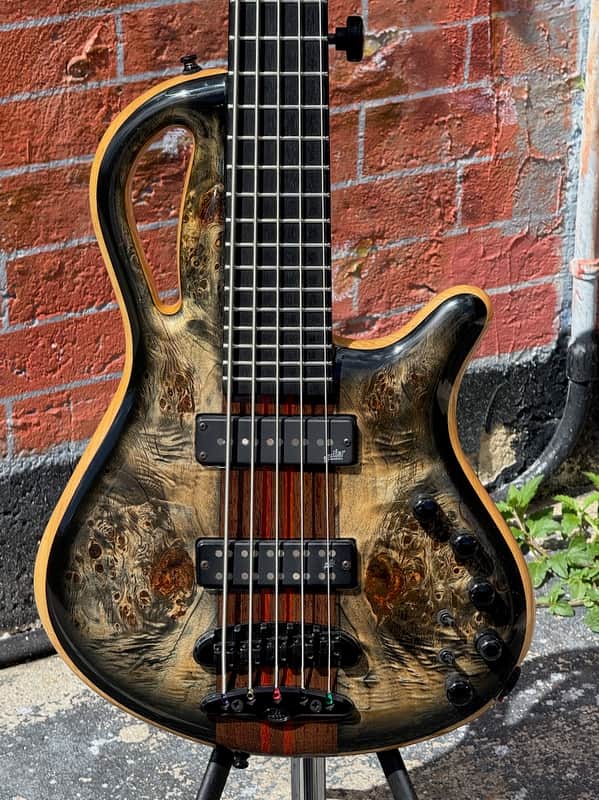 Mayones Caledonius 5 string Bass 2024 - stunning boutique bass & 1 of the coolest designs ever ! image 1
