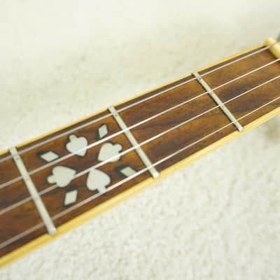 Vintage Epiphone 5-String Resonator Banjo w/ Hard Case image 5