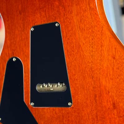 PRS Custom 24 "10 Top" Wood Library Spec - Rosewood Neck - Burnt Maple Leaf image 12
