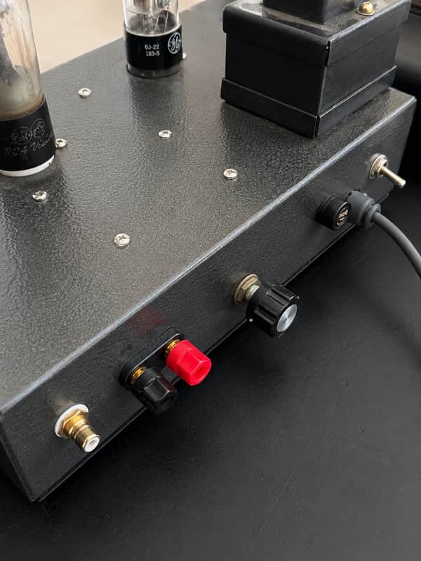Alan eaton 45 tube monoblocks