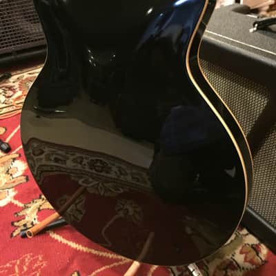 Epiphone John Lee Hooker Boogie Man Sheraton image 14