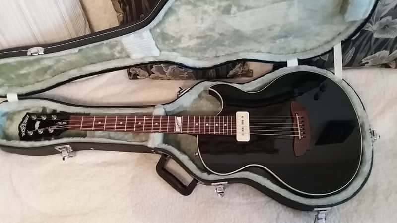 Washburn RW300 (Roger Waters) Custom Shop USA, Black image 1