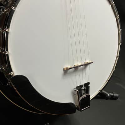 Recording King RK-R20 Songster 5-String Bluegrass Banjo image 6