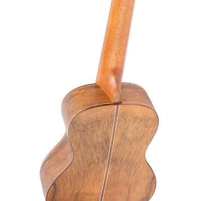 Ortega LIZARD-CC-GBL - Concert Acoustic-Electric Ukulele - Lizard Series image 6