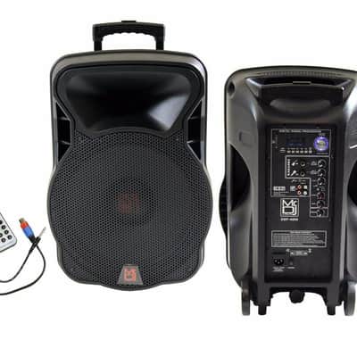 PRO 4000W Bluetooth DSP FM Radio USB Portable PA DJ KARAOKE Speaker image 3
