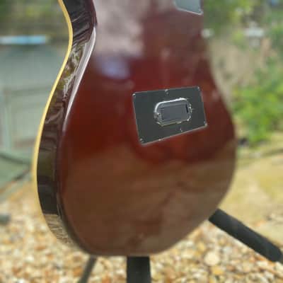 Multiac ACS rosewood HG with Roland GR-30 synth image 5