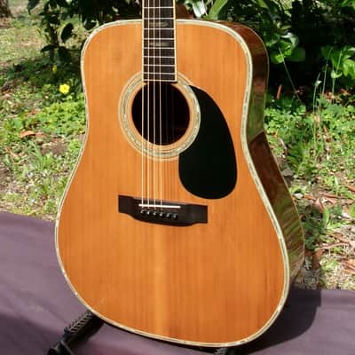 1976 Yairi YW-600 Dreadnought Guitar New Jacaranda + Vintage Hard Case image 4