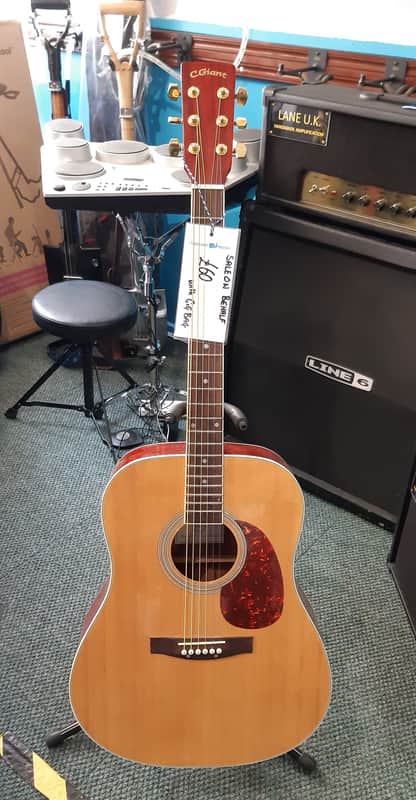 C.Giant Dreadnought Acoustic Guitar image 1
