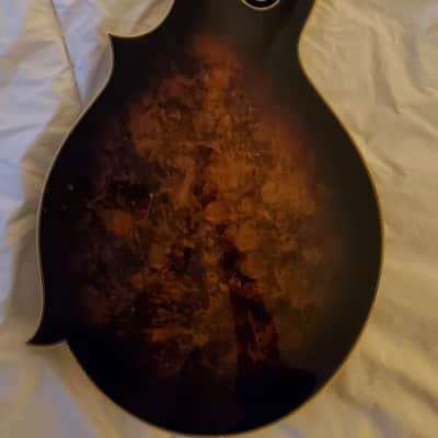 Morgan Monroe MMS-7  Mandolin with case image 3