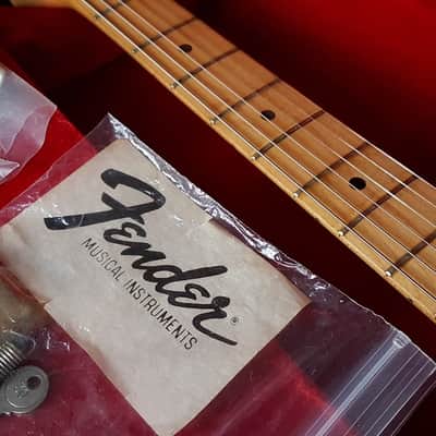 Fender Gold/Gold Stratocaster 1981 - 1983 image 7