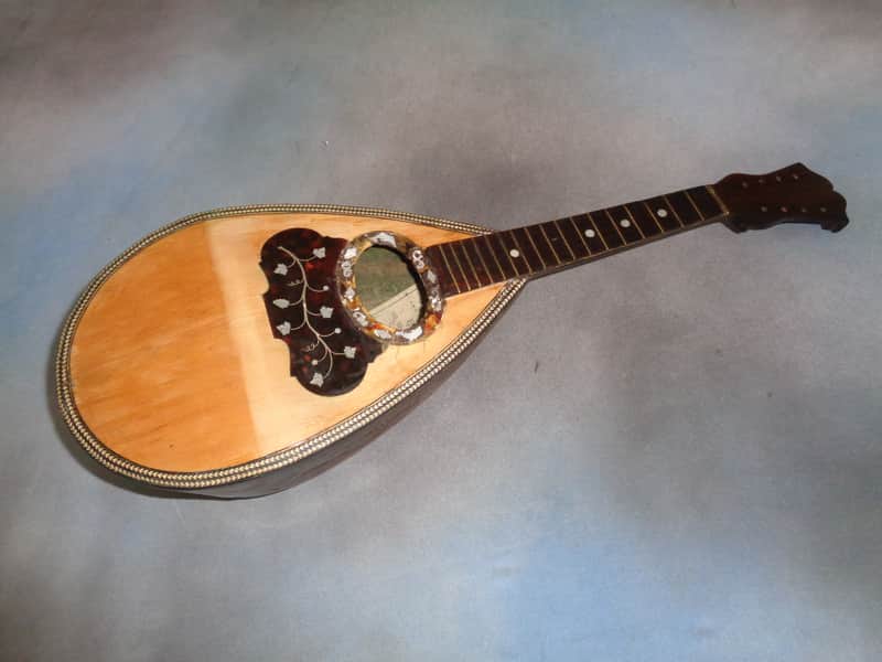 E. Zerega Bowlback Mandolin Brazilian 1900 image 1