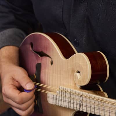 Ortega RMF200PF Americana Series F-Style Solid Flamed Maple Top Maple Neck 8-String Mandolin w/Croco Leather Case image 17