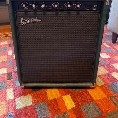 Evans PREA100 Amp image 1