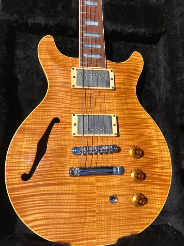 1996 Hamer Artist Custom image 1