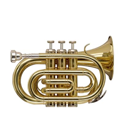 Stagg Bb Brass Pocket Trumpet w/ Gig Bag - WS-TR245S image 5