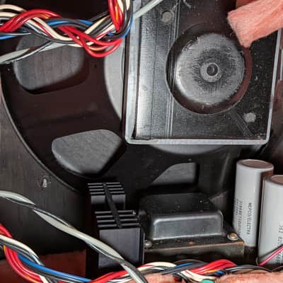 Polytone MINI-BRUTE - Black image 9