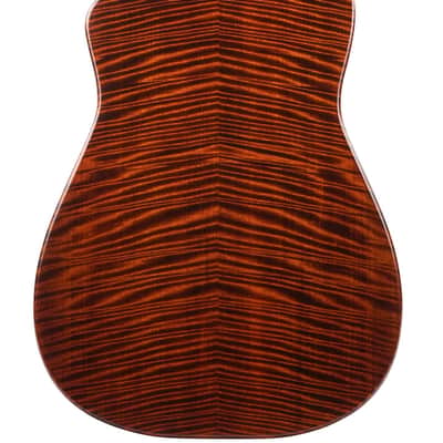 Beard Trailhead E RN Curly Maple 2024 image 8