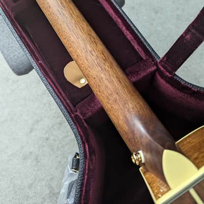 D'Angelico Excel Grammercy Acoustic/Electric, w/deluxe case, setup, & shipping image 8