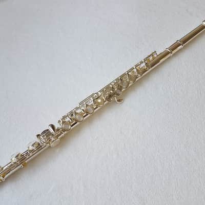 Immagine Professional 17 Open Hole Silver Plated Flute E Key B Foot with Case and Velvet Canvas Bag - 8
