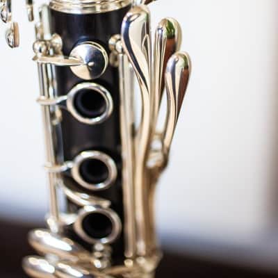 Buffet R13 Prestige Bb Professional Clarinet image 5