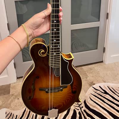 Aleyas F5D 2013-2020 - Sunburst Varnish Finish image 10