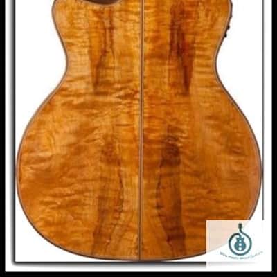 Washburn Comfort Series WCG66SCE-O, Solid Cedar Top, Spalted Maple Back, Sides, New, Free Shipping image 3