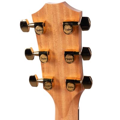 Taylor 222ce-K DLX Shaded Edgeburst (418) image 6