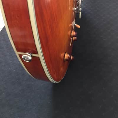 Eastman T59/v 2018 Amber image 8
