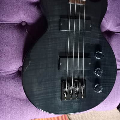 Epiphone Les Paul Special Bass 2008 Black Flame Top w Hard Shell Case image 3