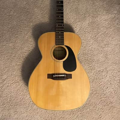 Epiphone FT-120 1976 Natural image 2