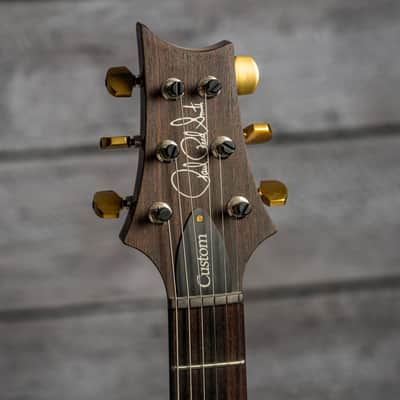 PRS Custom 24 Piezo - Eriza Verde 10-Top image 11