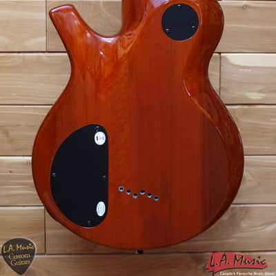 Parker PM20 Pro Honey Sunburst Electric Guitar LAST ONE WAREHOUSE FIND image 2