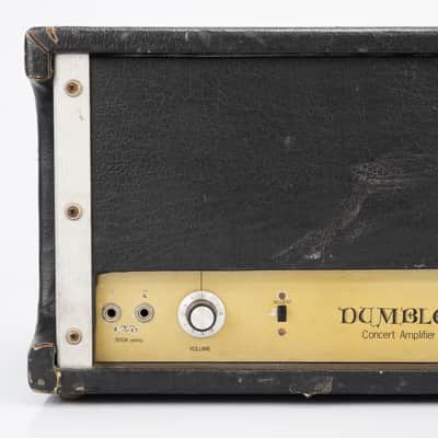 Dumble Dumbleland Concert Amplifier Head 150W Power Amp w/ Alembic F-2B #54163 image 4