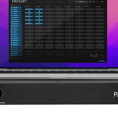 Flock Audio Patch LT (Black Friday Offer!) image 2