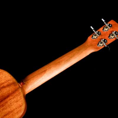 Tyde "Learner" Concert Ukulele image 4