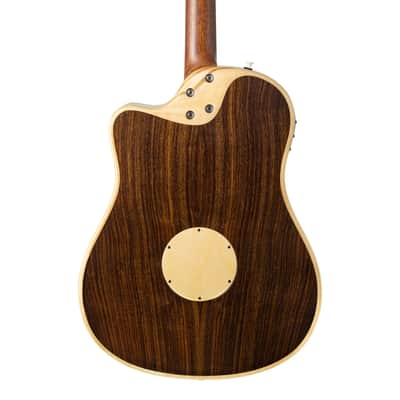 L.R. Baggs AEG-1 Acoustic Electric Guitar - Torrefied Sitka Spruce image 3