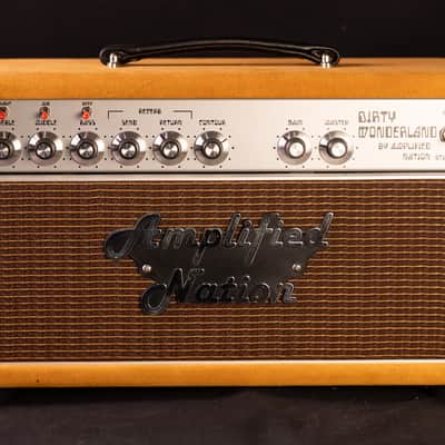 Amplified Nation Dirty Wonderland 2021 - Buckskin Suede 50 Watt image 11