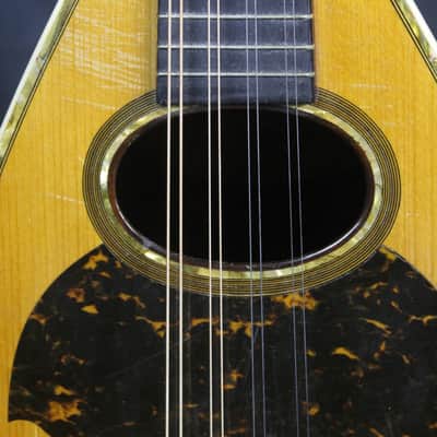 Vintage John Brandt Style C Bowlback Mandolin c1900 image 2