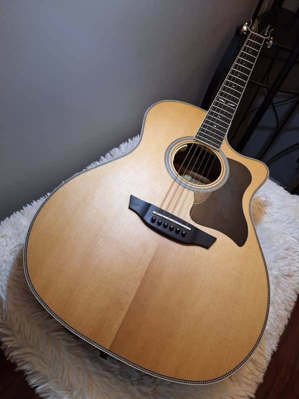 Nice! Orangewood Sage Live w LR Baggs Anthem System & Case - Natural Satin image 1