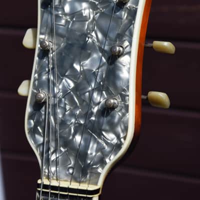 Arnold Hoyer PERLOID + Pickup – 1956 German Vintage Archtop Jazz Guitar / Gitarre image 5