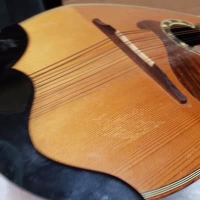 1969 SUZUKI MANDOLIN made in JAPAN image 2