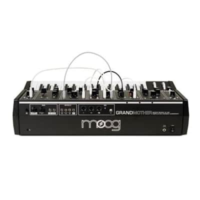 Moog Grandmother Analog Keyboard Synthesizer image 8