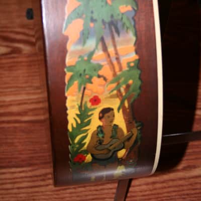 Supertone Parlor Acoustic 1930's Decalcomania w/Case image 7